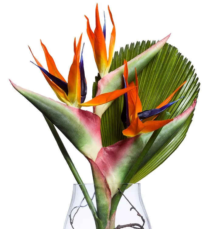 Exotic Bird of Paradise Palm Yacht Silks Arrangement