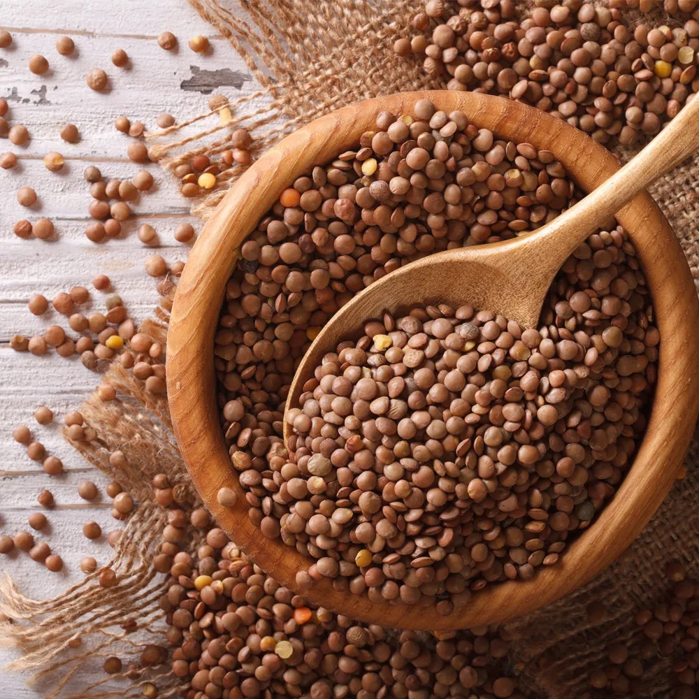 True Natural Goodness Organic Brown Lentils